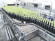 Computer Assembly SS 304 Line Conveyor Belt Equipment